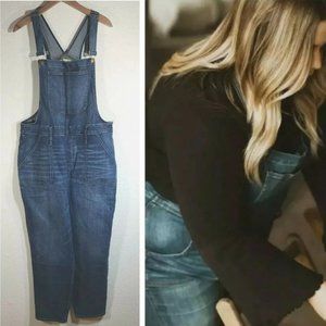 $148 Plus Size 2X (Size 20) MADEWELL Blue Groveland Wash Skinny Overalls Cotton